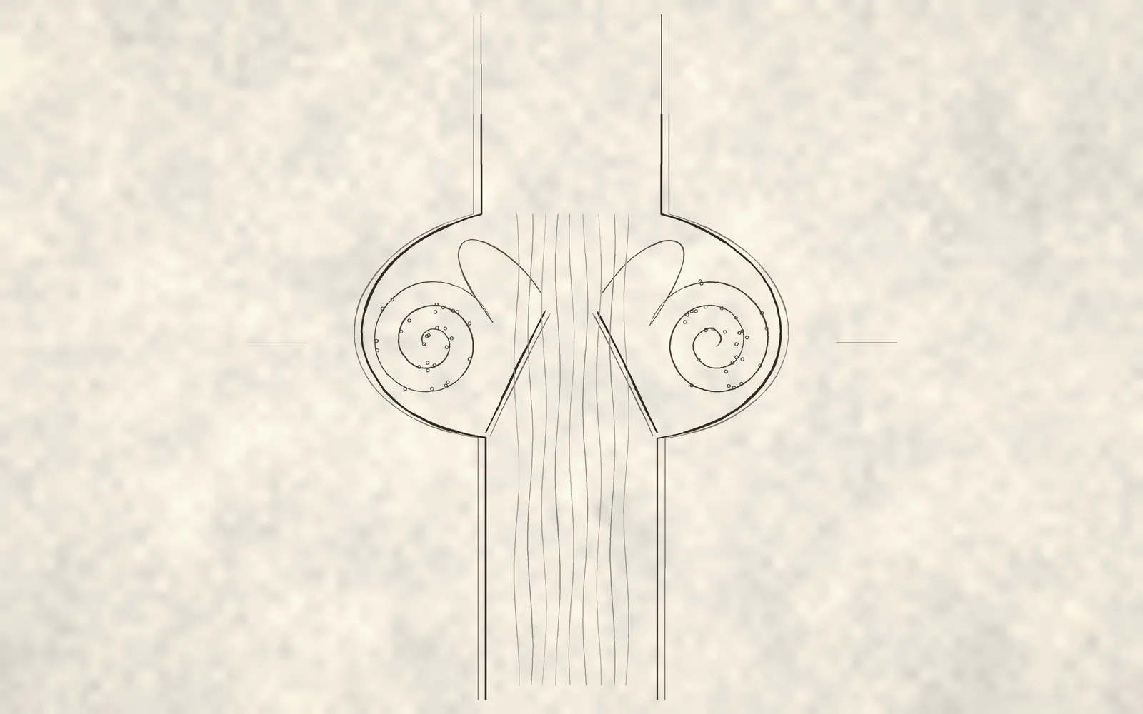 The root of the aorta. The water curls into the pockets and shuts the door behind it.